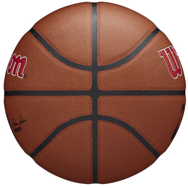 Wilson Team Alliance Toronto Raptors Ball WTB3100XBTOR – Bild 7