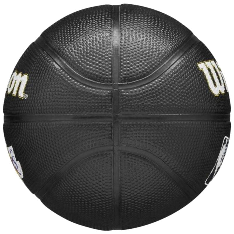 Wilson Team Tribute Los Angeles Lakers Mini Ball Jr WZ4017601XB – Bild 4